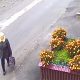 Кража цветов на улице Крупской — дожили!