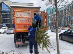 <strong>«Спецавтобаза» вывезла 4 500 новогодних деревьев свердловчан</strong>