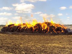 В огне «погибло» пять тонн сена