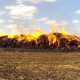 В огне «погибло» пять тонн сена