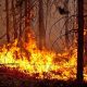 В Свердловской области локализованы два крупных лесных пожара