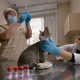 <strong>Ветеринарные врачи призывают вакцинировать домашних животных от бешенства</strong>