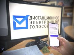 <strong>На Урале стартовала регистрация на дистанционное электронное голосование</strong>