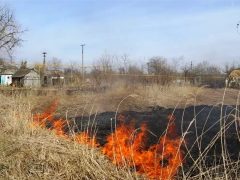 В Свердловской области ожидается высокая пожарная опасность