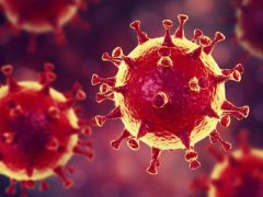 В Камышлове  подтвердились 2 случая заражения коронавирусной инфекцией – заболевшие находятся в изоляции