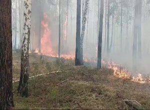 <strong>Особый противопожарный режим с 12 апреля начнёт действовать в Свердловской области</strong>