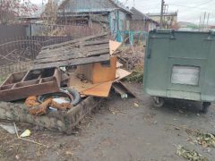 А из нашего окна куча мусора видна…