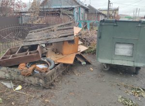 А из нашего окна куча мусора видна…