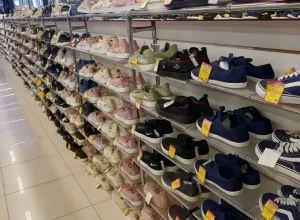 В ПАУТИНЕ СЕТЕЙ