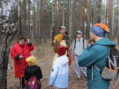 ТАЛИЦА – ВЕСЕННЯЯ И ТУРИСТИЧЕСКАЯ