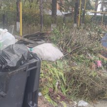 Мусорные тайфуны