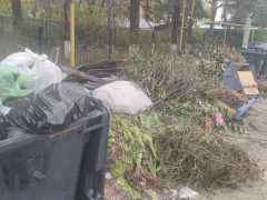 Мусорные тайфуны