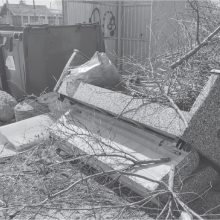 <strong>ВЕДЬ НЕБО БЕЗ ПТИЦ НЕ НЕБО…</strong>