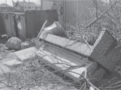 <strong>ВЕДЬ НЕБО БЕЗ ПТИЦ НЕ НЕБО…</strong>