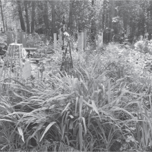 ЦЕНА ПАМЯТИ