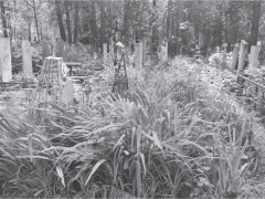 ЦЕНА ПАМЯТИ