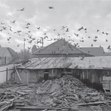 ГДЕ НАЙТИ УПРАВУ НА СОСЕДЕЙ?