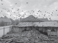 ГДЕ НАЙТИ УПРАВУ НА СОСЕДЕЙ?