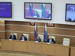 <strong>Людмила Бабушкина отметила значимость закона, ограничивающего продажу энергетиков</strong>