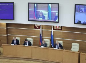 <strong>Людмила Бабушкина отметила значимость закона, ограничивающего продажу энергетиков</strong>