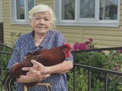 <strong>НЕ ЗНАЕМ МОГИЛ МЫ ОТЦОВСКИХ, НЕ ЗНАЕМ, ГДЕ БРАТЬЯ ЛЕЖАТ…</strong>